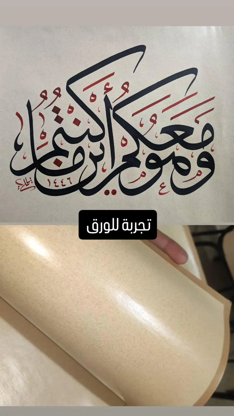 Photos de Naili Mustapha